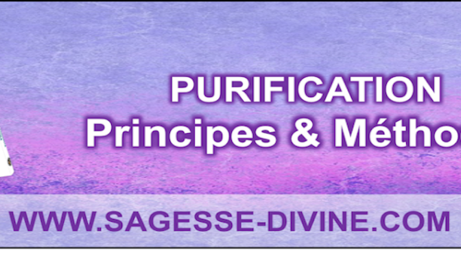 Purification : principes et methodes - Arnaud THULY - Livre