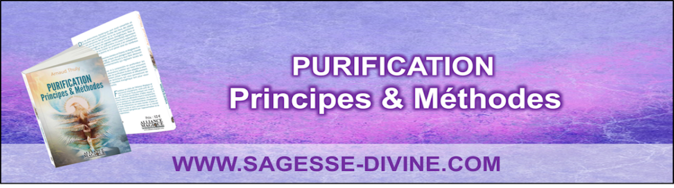 Purification : principes et methodes - Arnaud THULY - Livre